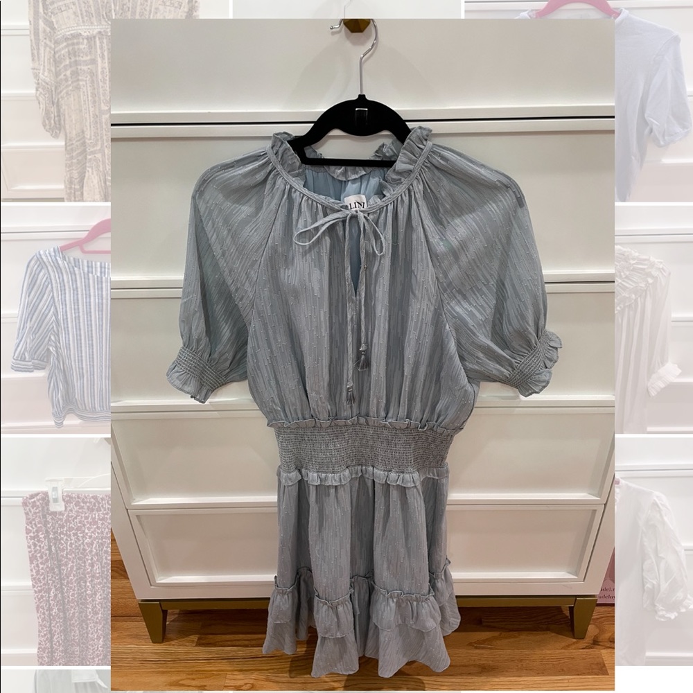 Beautiful LINI dress. Perfect condition!